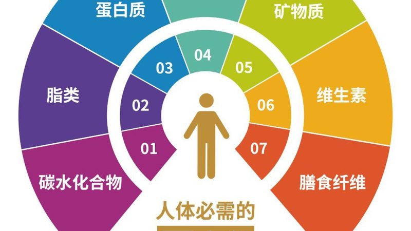 营养品OEM代加工厂家价格